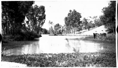 Two horses by a creek [picture] : scenes from the North Australia Patrol and other general scenes, 1937 - 1942 / [John Flynn?]