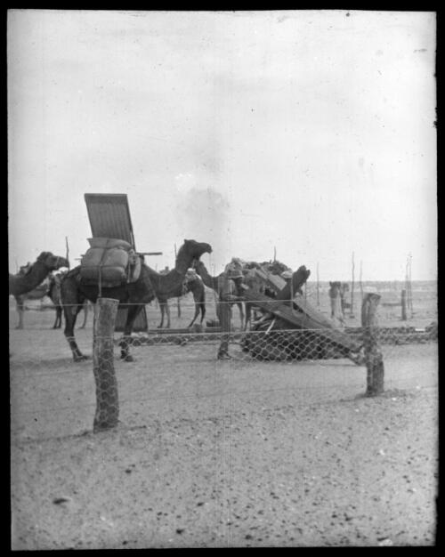 Camel loading, Alice Springs [transparency] : scenes of Tennant Creek and the Northern Territory, Beltana, Oodnadatta and other general scenes / [John Flynn?]