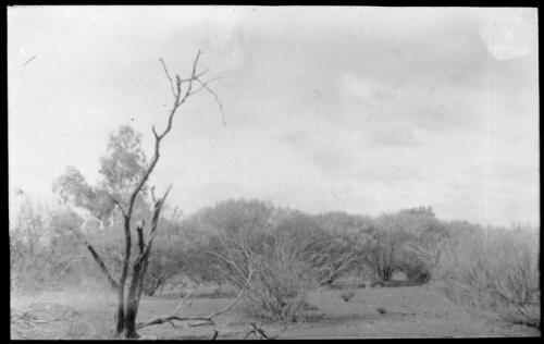 Bush landscape [transparency] : scenes of Tennant Creek and the Northern Territory, Beltana, Oodnadatta and other general scenes / [John Flynn?]