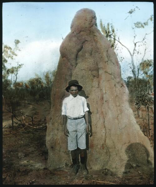 Unidentified boy standing in front of a large termite mound [transparency] : scenes of Tennant Creek and the Northern Territory, Beltana, Oodnadatta, and other general scenes / [John Flynn?]