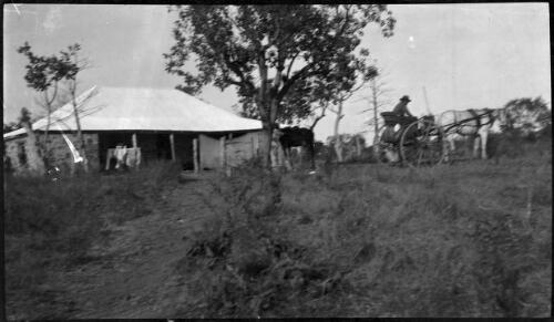 Homestead in the [King] Leopold Ranges, Kimberley [picture]