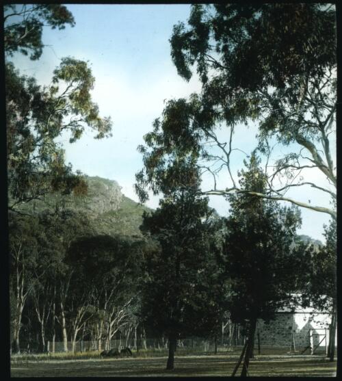 Building and trees at the base of a range of hills [transparency] / [John Flynn?]
