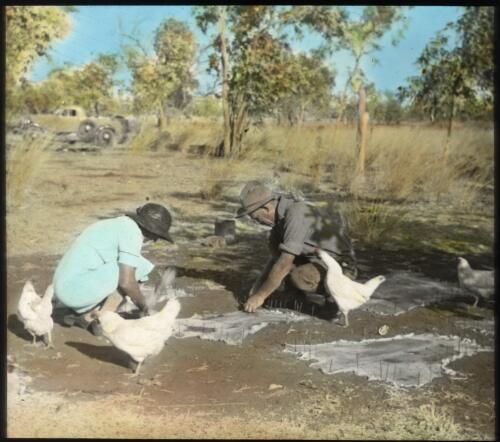 A man and woman pegging out animal skins surrounded by chickens with a ute in the background [transparency] : a lantern slide used by John Flynn in lectures / [John Flynn]