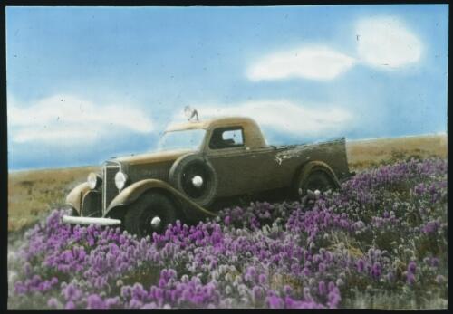 Australian Inland Mission truck parked next to wildflowers [transparency] / [John Flynn?]