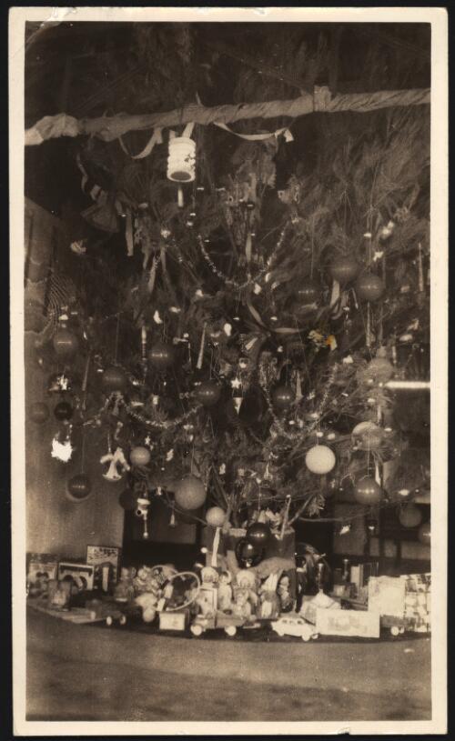 The Christmas Mulga tree surrounded by gifts in the A.I.M. Welfare Club in Carnarvon, Western Australia, December, 1936 [picture] / H. Doug Gibbs