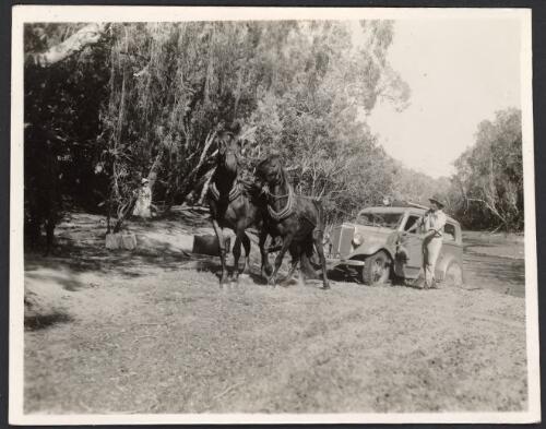 View of an unidentified man steering a car while it is pulled out of a river by a team of horses [picture] / [John Flynn?]