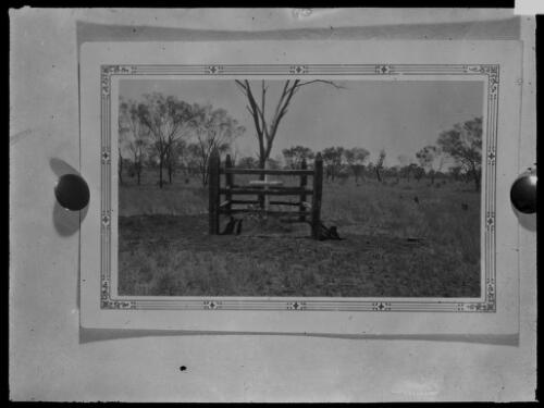 Unidentified bush grave site [picture] / [John Flynn?]
