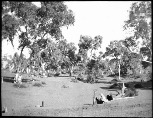 Dry creek bed at Ernabella, South Australia, 1949 [transparency] / C. Duguid