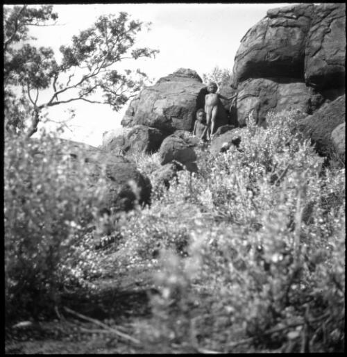 Children climbing the rocks at Ernabella, South Australia, 1949 [transparency] / C. Duguid
