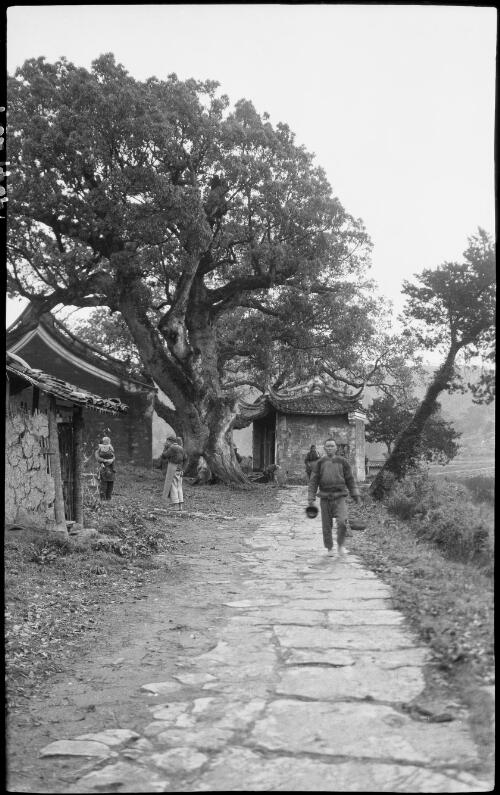 [Country village with paved pathway and man walking with pot in one hand and basket in other, China, ca. 1930] [picture] / Stanley O. Gregory