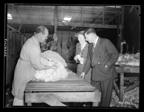 Yarralumla shearing shed, Canberra, 12 November 1957, 1 [picture] / L.J. Dwyer