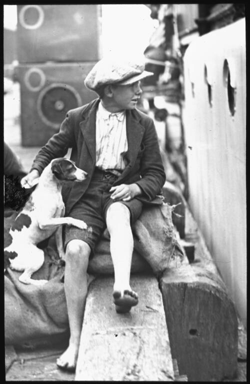 A young boy with a dog sitting on the wharf, Darling Harbour, New South Wales, 1925? [transparency]