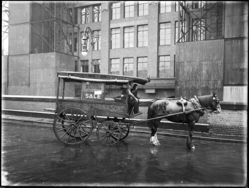 Anthony Hordern delivery wagon [picture] / A.G. Foster