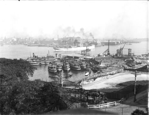 Sydney Harbour view [picture] / A.G. Foster