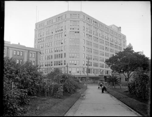 View of David Jones construction and the trees on the sides of the road [picture] / A.G. Foster