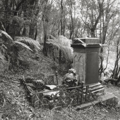 View of overgrown graves in 'old' cemetery near Lyell District Hospital on east side of Queen River, Queenstown [picture]