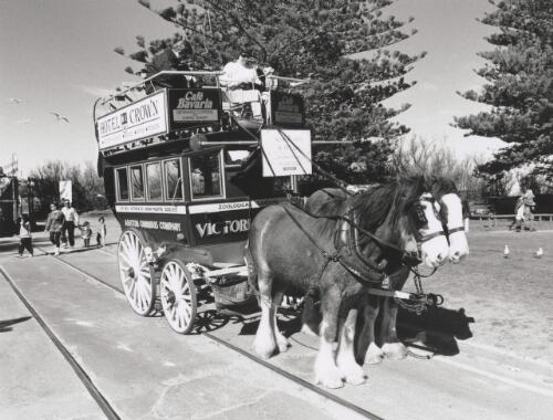 Aston Omnibus Company horse and carriage pleasure ride [picture]