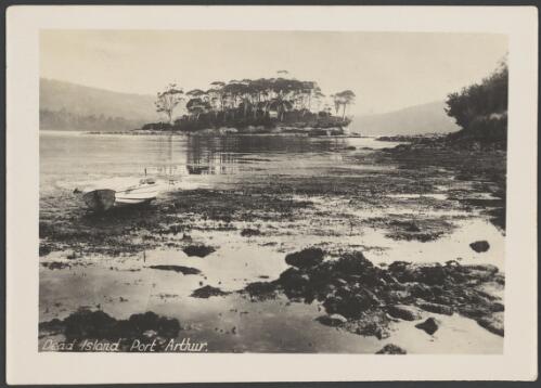 Dead Island, Port Arthur, Tasmania, ca. 1913? [picture] / J.W. Beattie