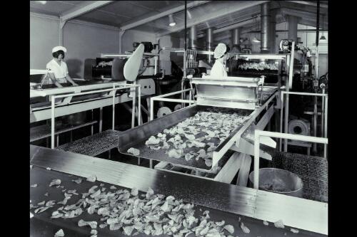 [Women workers and assembly lines of potato crisps], Smith's Potato Crisp Factory, Melbourne, For William Love, Sydney, 1966 [picture] / Wolfgang Sievers