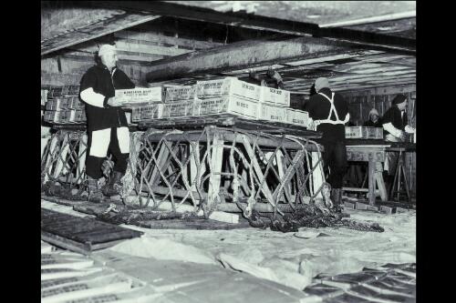 Loading packed boneless beef for export to the United States into the hold of a ship at Townsville, Queensland, 1963, 1 [picture] / Wolfgang Sievers
