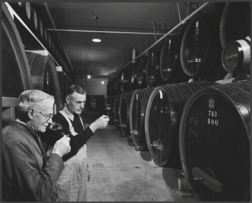 Wine industry in the Barossa Valley, South Australia, 1958-1966 [picture] / Wolfgang Sievers