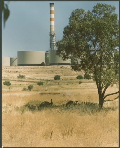 Care for the environment near Mobil's Port Stanvac oil refinery near Adelaide, South Australia [picture] / Wolfgang Sievers