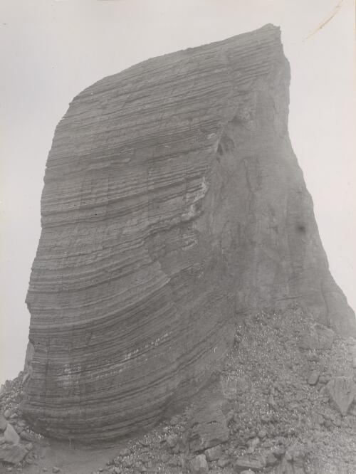Roger's Head, Heard Island, Antarctica, 1948 [picture] / D. Eastman