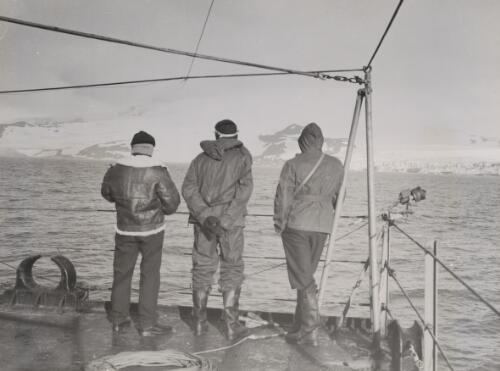 Coast of Heard Island, Antarctica, 1948 [picture] / D. Eastman