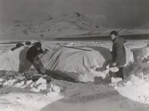 Look what's in the ice box, Heard Island, Antarctica, 1948 [picture] / A. Campbell-Drury