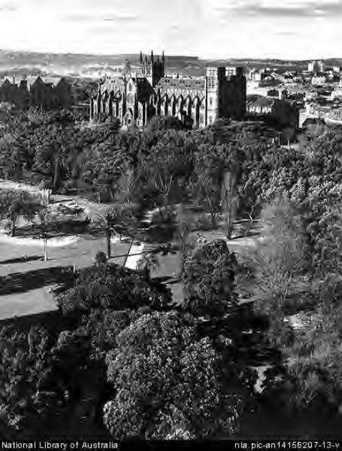 Hyde Park towards St. Mary's Cathedral in the Domain and Sydney Heads in far distance, 1961 [picture] / Wolfgang Sievers