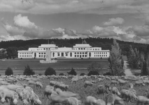 Old Parliament House, Canberra, with sheep in foreground [1] [picture] / R. C. Strangman