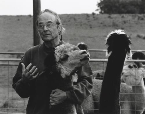 Royall Taylor, Japanese literary scholar, with one of the alpacas at his property Lewiston beyond Mongarlowe, New South Wales, July 1998 [picture] / Terry Milligan