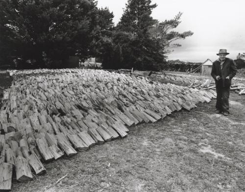 Gordon Tuckwell, former timber cutter and fencer with part of the winter firewood at his Mongarlowe property, New South Wales, January 1994 [picture] / Terry Milligan