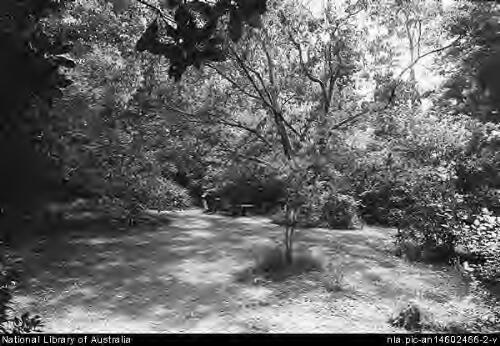 Sir Harold White's house and garden, Red Hill, A.C.T., 1989, 2 [picture] / Alec Bolton