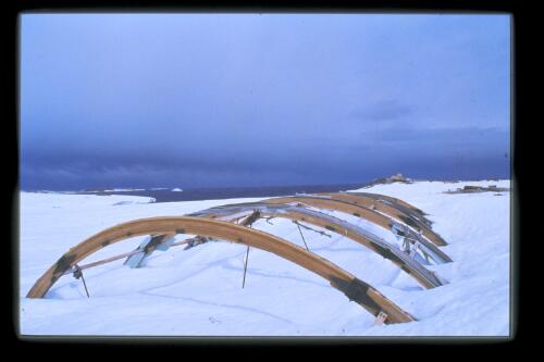 Australian National Antarctic Research Expedition (ANARE), 1997-1998 [transparency] / Felicity Jenkins