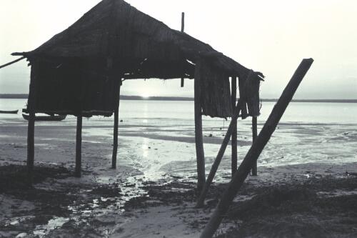 Aboriginal Australians, Melville Island, 1941 [4] [picture] / Roy Pope