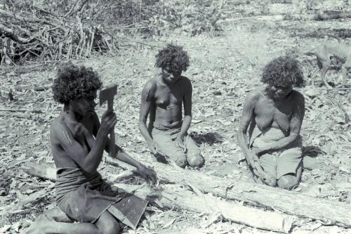 Aboriginal Australians, Melville Island, 1941 [6] [picture] / Roy Pope