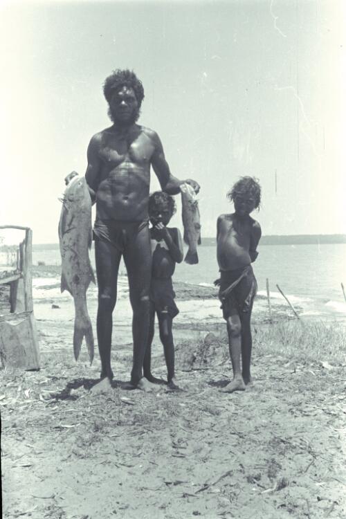 Aboriginal Australians, Melville Island, 1941 [9] [picture] / Roy Pope