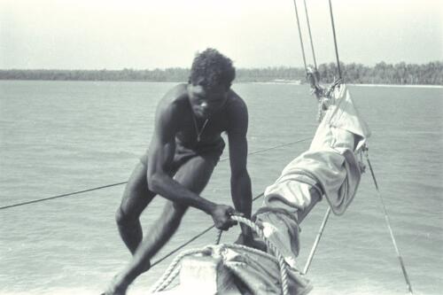 Aboriginal Australians, Melville Island, 1941 [13] [picture] / Roy Pope