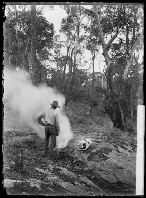 King Cazneaux in bush at North Sydney, ca 1905, 1 [picture] / Harold Cazneaux