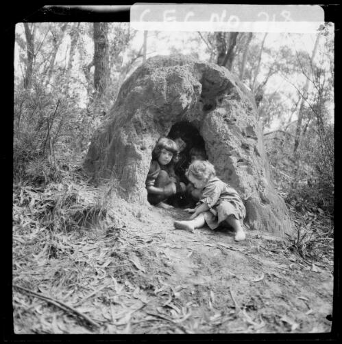 Jean and her sisters in an anthill, Wentworth Falls, New South Wales, May, 1915, 1 [picture] / Harold Cazneaux