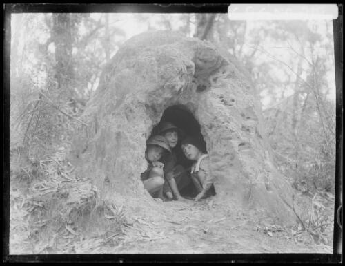 Jean and her sisters in an anthill, Wentworth Falls, New South Wales, May, 1915, 2 [picture] / Harold Cazneaux