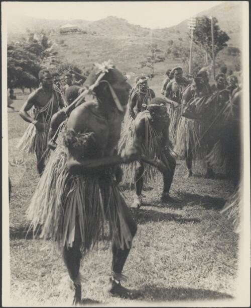 Motuan Western Division male dancers with hand drums, Tahira, Port Moresby, Papua, ca. 1923 [picture] / Sarah Chinnery