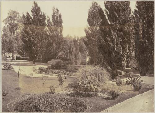 Botanic Gardens, Adelaide [picture]