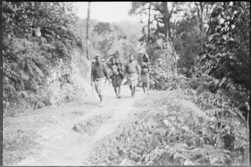 Group of people walking along a road carrying trunks and packages, New Guinea, ca. 1929 [picture] / Sarah Chinnery