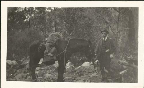 Charles Daley senior and Neddy the horse on Stony Creek track, Wartook, Victoria, 1919 [picture]