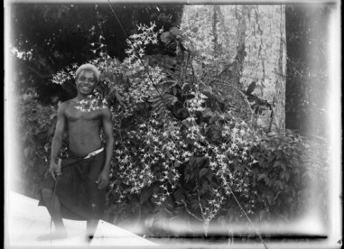 Polian standing beside an orchid, Government House, Rabaul, New Guinea, ca. 1929, 2 [picture] / Sarah Chinnery