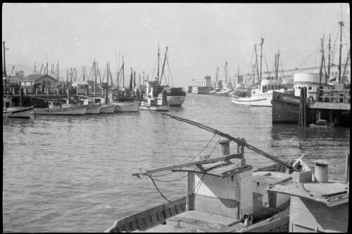 Boats in a harbour, San Francisco, California, 1934, 1 [picture] / Sarah Chinnery