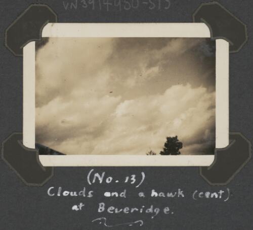 Clouds and a hawk flying in the sky at Beveridge, Victoria, ca. 1930s [picture]