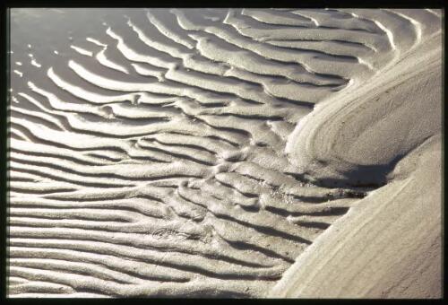 Changing sand patterns and wildlife tracks on the Lake Pedder beach in the early morning, Tasmania, ca. 1969 [picture] / Olegas Truchanas